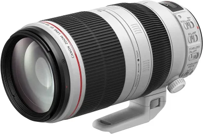 immagine Canon EF 100-400mm f/4,5-5,6 L IS USM II
