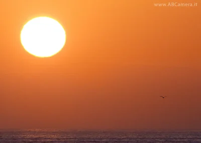 fotografia del sole al tramonto scattata con teleobiettivo