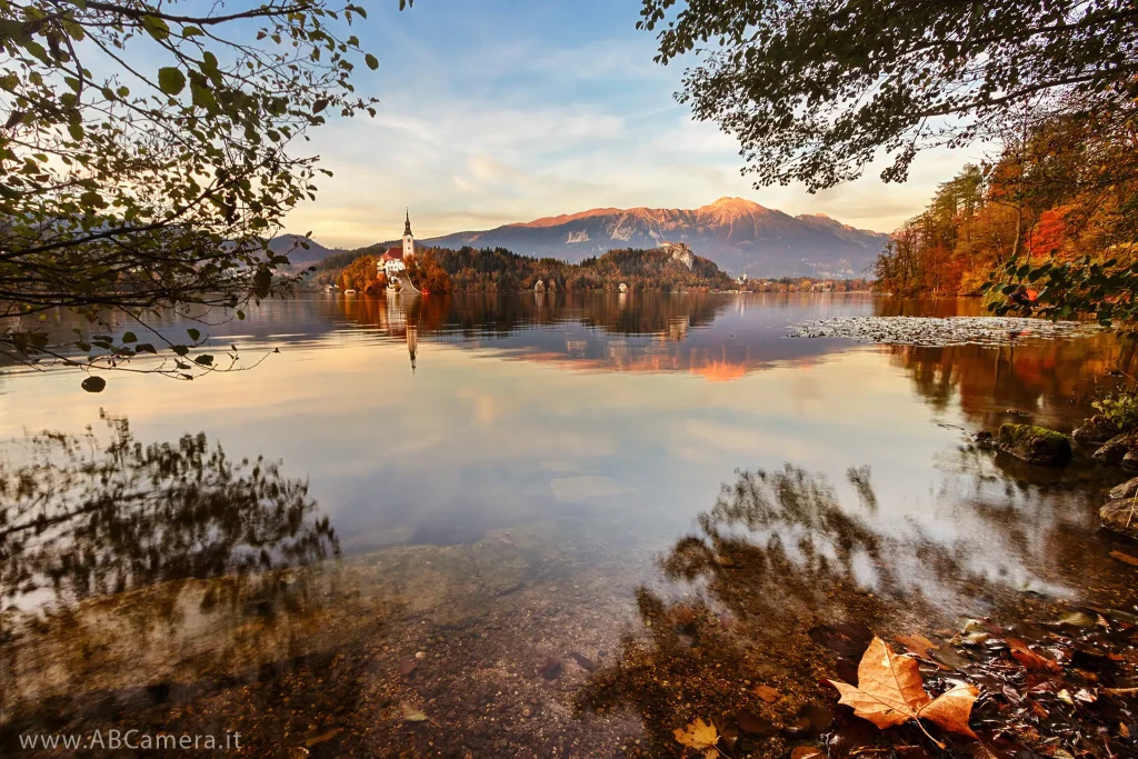 fotografia paesaggistica che riprende un lago in autunno con un'isola ed una foglia in primo piano