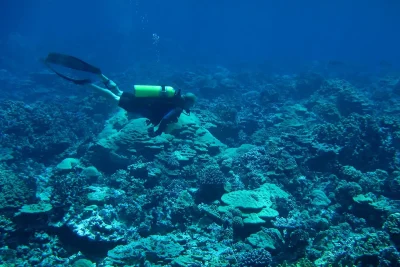 fotografia subacquea che ritrae un uomo che fa immersioni