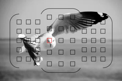 illustrazione che mostra il mirino di una reflex con punto af selezionato sovrapposto ad un'inquadratura fotografica